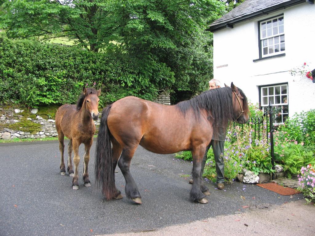 High Fold Guest House Troutbeck  Exterior photo