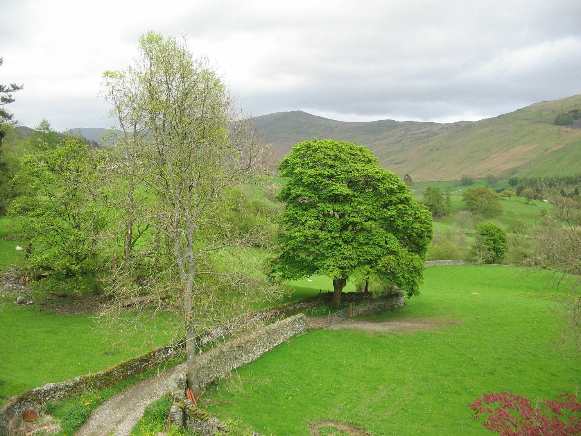 High Fold Guest House Troutbeck  Exterior photo