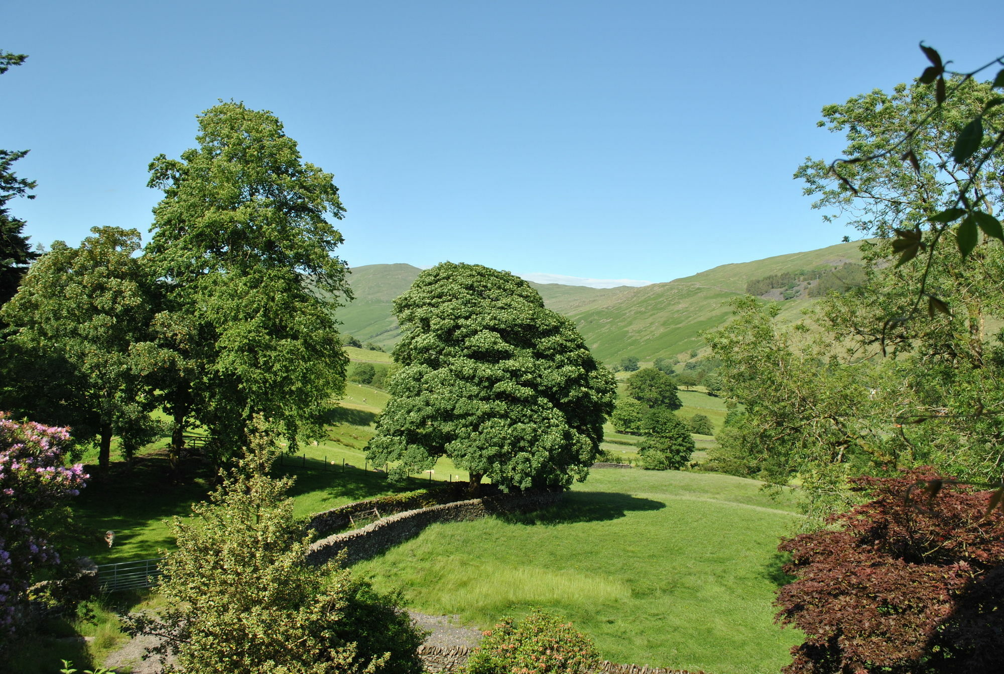 High Fold Guest House Troutbeck  Exterior photo